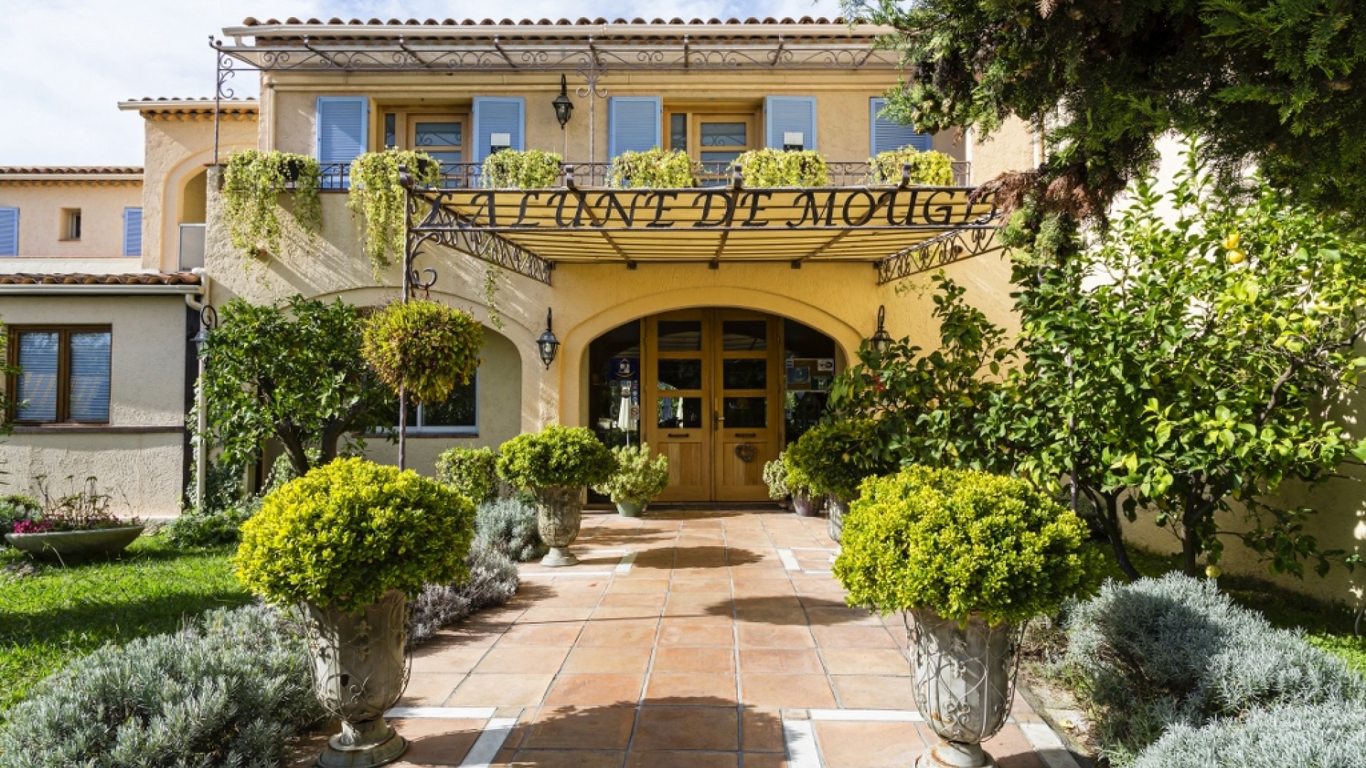 Chèque cadeau 50 euros